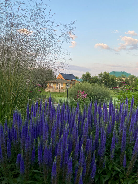 Гостиница Раздолье Косулино-25