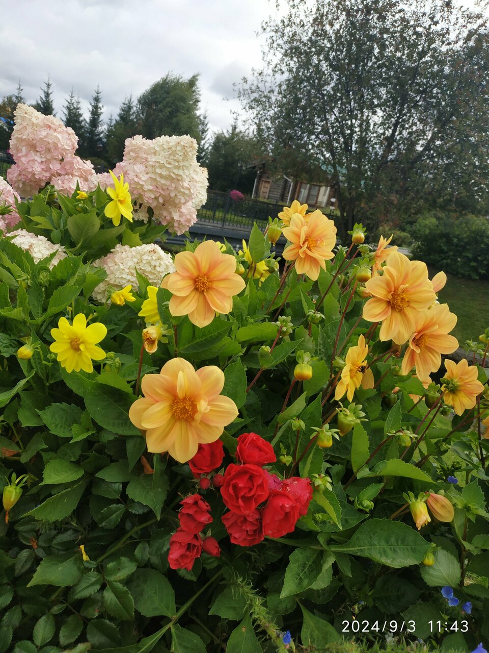 Гостиница Раздолье Косулино-48