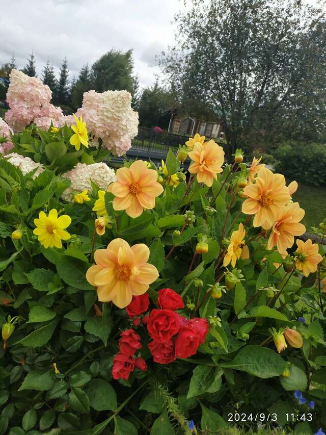 Гостиница Раздолье Косулино-47