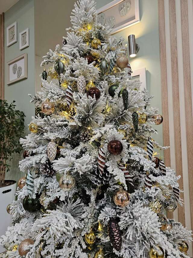 Гостиница Раздолье Косулино-230